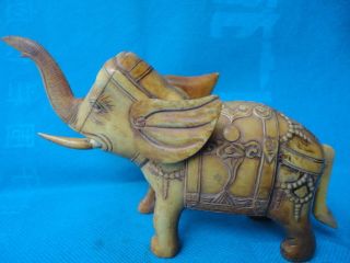 Rare China Cow Bone Collectable Handwork Carved Elephant Ornament Snuff Bottle photo