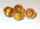 4 Ancient Antique Egyptian Gold Line Beads Match,  7mm Dia,  Saba Mitry Collection Egyptian photo 1
