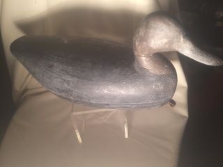 1930 ' S Horner Head Black Duck Working Decoy photo