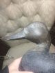 1930 ' S Horner Head Black Duck Working Decoy Primitives photo 5