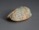 Chinese Handwork Carved Cicada Shape Nephrite Hemo Jade Ornament Pendant - Jx11258 Necklaces & Pendants photo 6