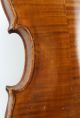 Very Good Antique American Violin,  Filip Wolan,  1920 Salem,  Massachusetts 118 String photo 11