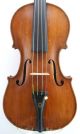Very Good Antique American Violin,  Filip Wolan,  1920 Salem,  Massachusetts 118 String photo 1