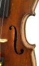 Very Good Antique American Violin,  Filip Wolan,  1920 Salem,  Massachusetts 118 String photo 8