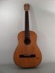 Hopf Vintage German Germany Classical Or Acoustic Old Guitar Antique 50s 60s String photo 2