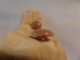 Antique Celluloid Bakelite Caramel Butterscotch Set 5 Button 5/8 