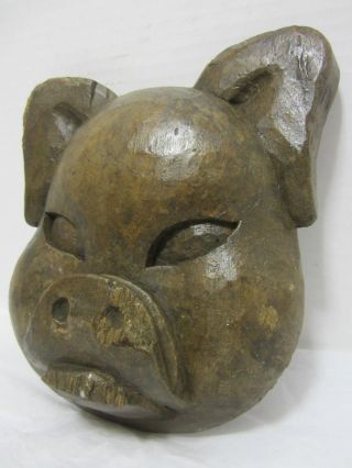 Pig Head Paper Mache Mold/sculpture photo