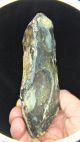 Large Acheulian Unifacial Dual Point Chopper,  Found Nr Swanscombe,  Kent A665 Neolithic & Paleolithic photo 3