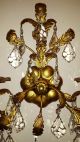 Vintage Tole Gold Italian Italy Chandelier Wall Light 25 Crystals Fixture 1950 ' S Chandeliers, Fixtures, Sconces photo 1