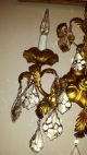 Vintage Tole Gold Italian Italy Chandelier Wall Light 25 Crystals Fixture 1950 ' S Chandeliers, Fixtures, Sconces photo 3