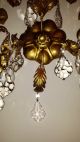 Vintage Tole Gold Italian Italy Chandelier Wall Light 25 Crystals Fixture 1950 ' S Chandeliers, Fixtures, Sconces photo 5