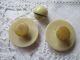 Antique,  Victorian Dress Ornament From Bone (button) Buttons photo 1