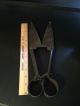 Antique Sheep Shears Large Farm Tool - Old Barn Findings Primitives photo 3