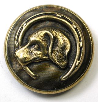 Antique Brass Sporting Button Hound Dog Head & Horse Shoe Design photo