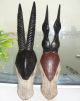 African Animal Antelope Horns Gazelle Mask Africa Bambara / Nigeria Decor Masks photo 2
