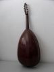 Antique Historical German Germany Old Lute Luth No Guitar Violin No Bouzouki String photo 2