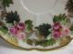 Antique Hand - Painted Nippon Porcelain Tea Cup & Saucer With Gold Beads & Roses Cups & Saucers photo 10