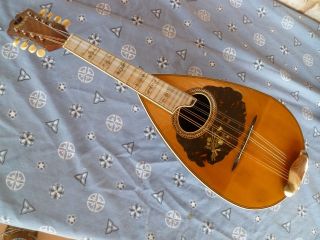 Vintage Bruno Bowl Back Mandolin.  Fancy And Clean Playing Condition photo