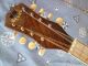 Vintage Bruno Bowl Back Mandolin.  Fancy And Clean Playing Condition String photo 1