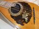 Vintage Bruno Bowl Back Mandolin.  Fancy And Clean Playing Condition String photo 3