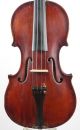 Vittorio Gianonni Old Antique Labeled Italian 4/4 Master Violin String photo 2