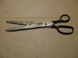 Antique Scissors 11 3/4 Inches Long With 6 1/4 Inch Blade photo