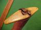 Fantastic Old Antique Short Sword Dagger Knife With Sheath & Bovine Bone Pommel Pacific Islands & Oceania photo 3