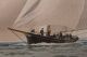 19thc Antique Frederic Cozzens Lithograph American Yachts Newport Ri Seascape Other photo 7