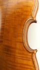 Antique American Violin In Excellent,  Ready - To - Play Condition - String photo 10