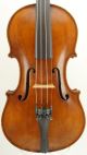 Antique American Violin In Excellent,  Ready - To - Play Condition - String photo 1