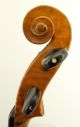 Antique American Violin In Excellent,  Ready - To - Play Condition - String photo 3