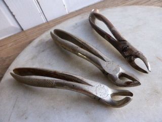 Set Of 3 Vintage Dental Tooth Pliers Extraction Implements photo