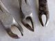 Set Of 3 Vintage Dental Tooth Pliers Extraction Implements Other photo 5
