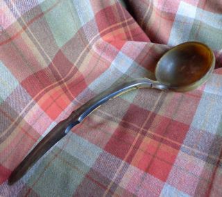 Rare Museum - Quality 1850s Large Horn Ladle From Scotland 17 