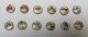 Antique Satsuma ' Arita ' Japan Porcelain Pottery Zodiac Buttons Full Set Of 12 Buttons photo 2