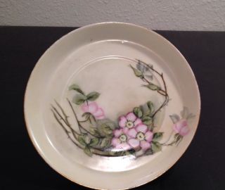 Antique H.  M.  H.  Porcelain Floral Plate 1917 Stamped Dogwood Blossums photo