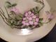 Antique H.  M.  H.  Porcelain Floral Plate 1917 Stamped Dogwood Blossums Plates & Chargers photo 1
