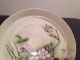 Antique H.  M.  H.  Porcelain Floral Plate 1917 Stamped Dogwood Blossums Plates & Chargers photo 2