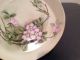 Antique H.  M.  H.  Porcelain Floral Plate 1917 Stamped Dogwood Blossums Plates & Chargers photo 3
