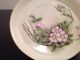 Antique H.  M.  H.  Porcelain Floral Plate 1917 Stamped Dogwood Blossums Plates & Chargers photo 4