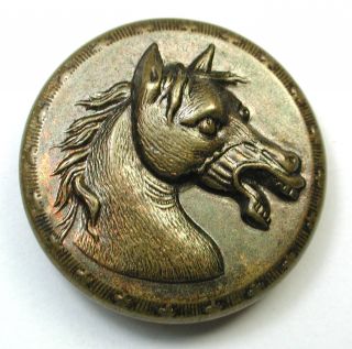 Antique Brass Sporting Button Stallion Head Horse Design photo
