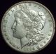 1884 S Morgan Dollar Silver Key Date Breast Feathers Not Cleaned Au Pl Luster The Americas photo 2