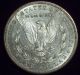 1884 S Morgan Dollar Silver Key Date Breast Feathers Not Cleaned Au Pl Luster The Americas photo 3