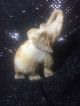 Rare Stone Craft Hand Carved Elephant God White Marble Statue Sculpture 5x4 India photo 2