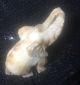 Rare Stone Craft Hand Carved Elephant God White Marble Statue Sculpture 5x4 India photo 3