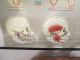 Vintage Anatomical Pull Down School Chart Of Teeth / Dentist Other photo 5