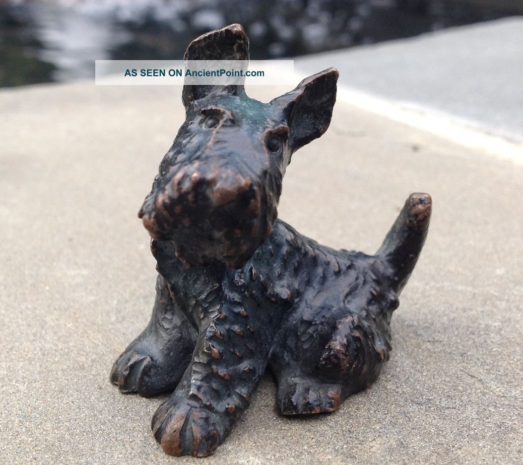 Vintage Black 1900 - 1940 Austria/vienna Bronze Scottish Terrier Dog Figurine Metalware photo
