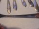 Oneida Community Tudor Silver Plate Queen Bess Of 20 Pieces Flatware & Silverware photo 3