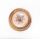 2 Antique Peach Wool Glass & Brass Buttons Compass Design Victorian Collectors Buttons photo 1