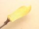 Whiting Sterling Italian Pattern Master Butter Knife American Antique Rare 19 C Flatware & Silverware photo 6